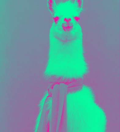 slide_346355_3643588_free.gif