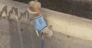 h9BB19FE6.gif