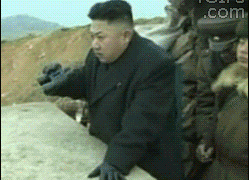 tumblr_mksezciKjF1qibeoco1_250.gif