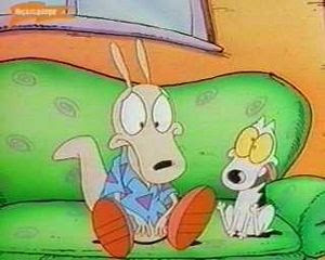 tn_rocko.jpg