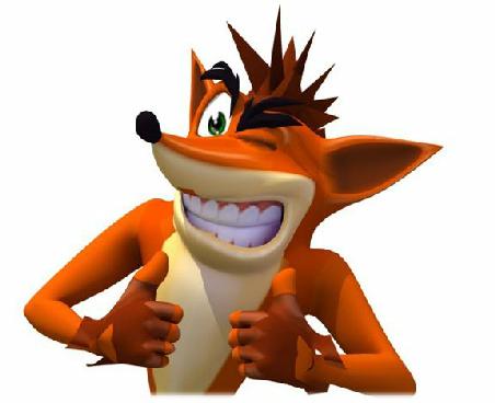an-crash_bandicoot-party.jpg