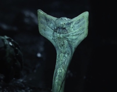 prometheus-alien-snake.jpg