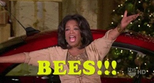 oprah_bees.jpg