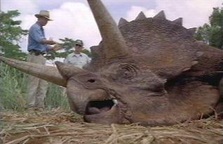 triceratops.jpg