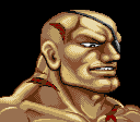 sagat434.png