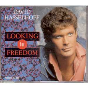 hasselhoff015.jpg