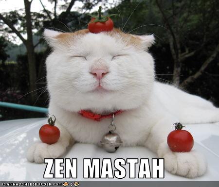 091226-zen-master.jpg