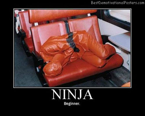 Ninja-Demotivational-Poster.jpg