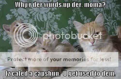 cat-teaches-kittens-about-captions.jpg