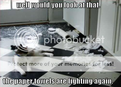 fighting-paper-towels.jpg
