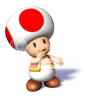 sms_toad-1.jpg