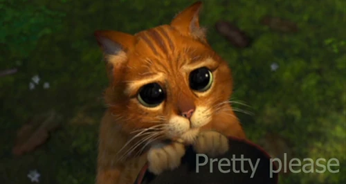 500px-Pretty_please_cat.jpg