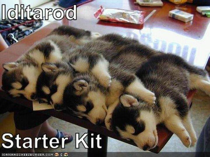 iditarod-starter-kit.jpg