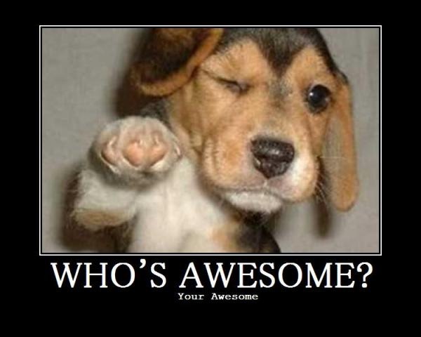 whos-awesome1.jpg
