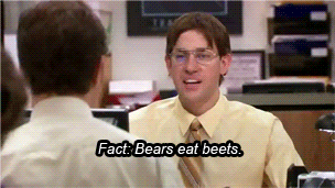 bears-eat-beets1.gif
