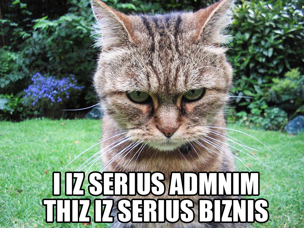 I_IZ_SERIUS_ADMNIM_THIZ_IZ_SERIUS_BIZNIS_lolcat.jpg