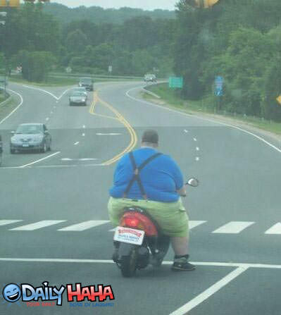 fatty_moped_man.jpg