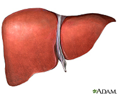 liver.jpg